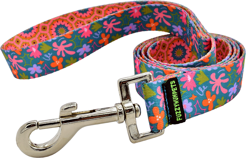 Whimsy snap leash by Fuzzywumpets