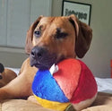 Fluff & Tuff Beach Ball Fluff and Tuff