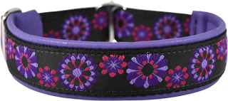 Pacifica - Buckle or Slip Dog Collar – wyldkindoutfitter