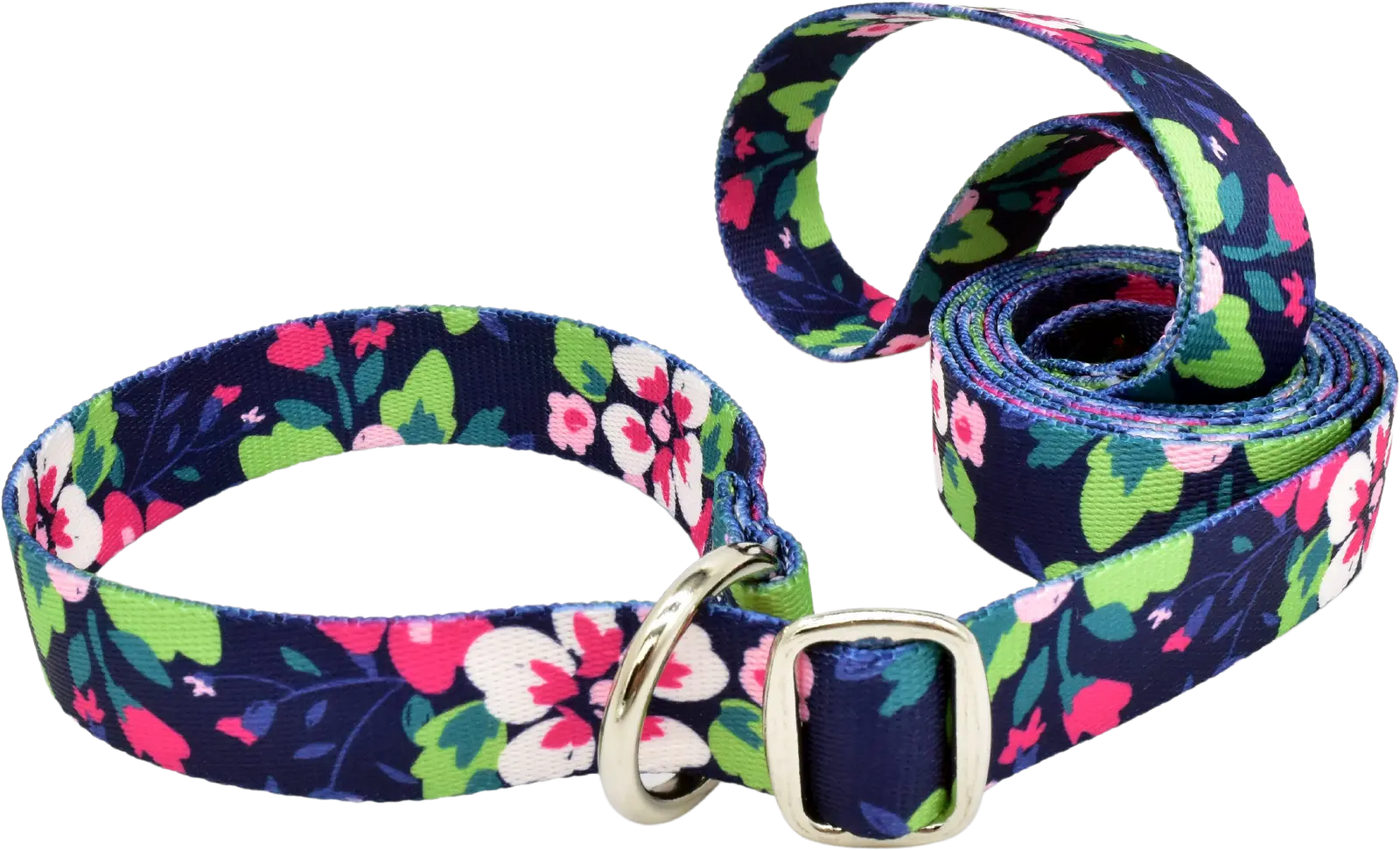 1" x 6ft Simplicity Slip Lead - multiple patterns for dogs, handmade in the USA by Fuzzywumpets.