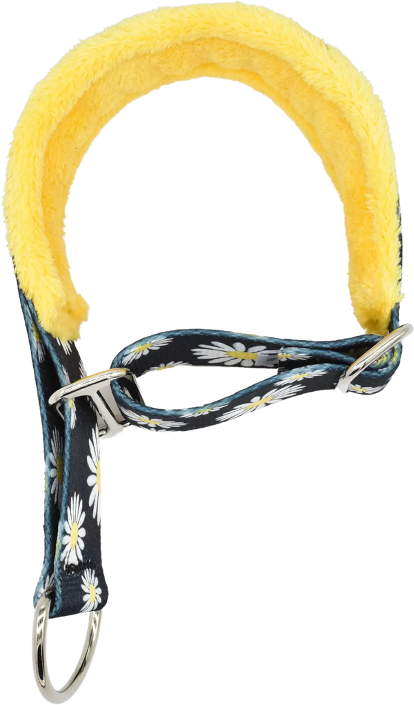 1.5