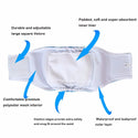 Male Belly Bands PartTwoEnterprises