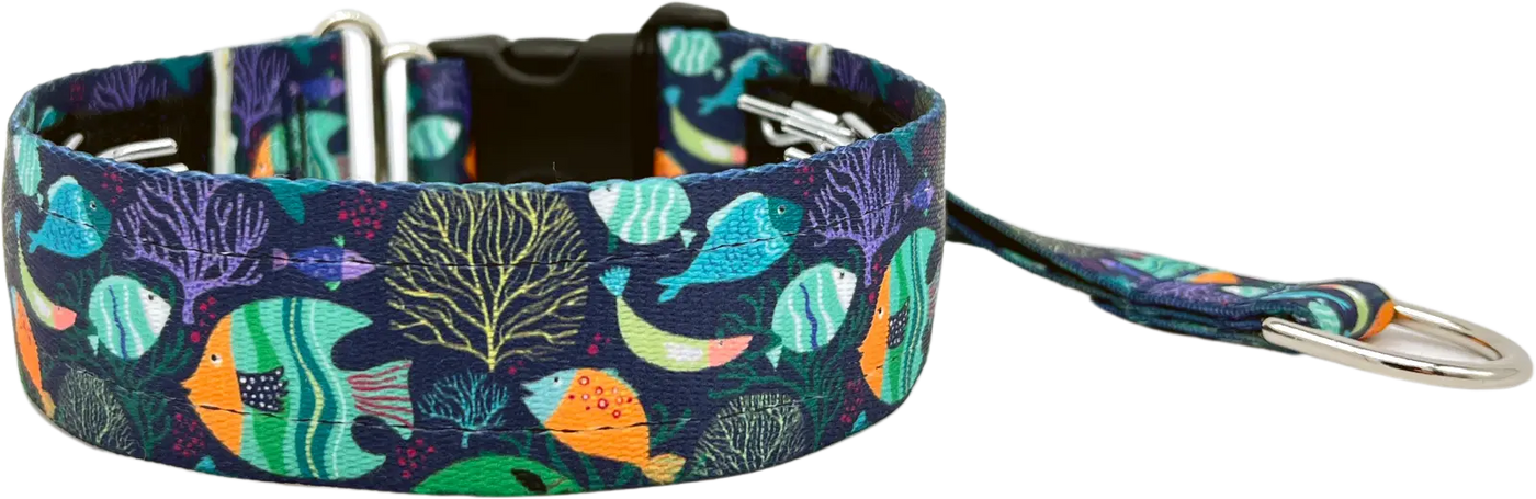 1.5" Calypso Everyday Private Trainer for dogs, handmade in the USA by Fuzzywumpets.