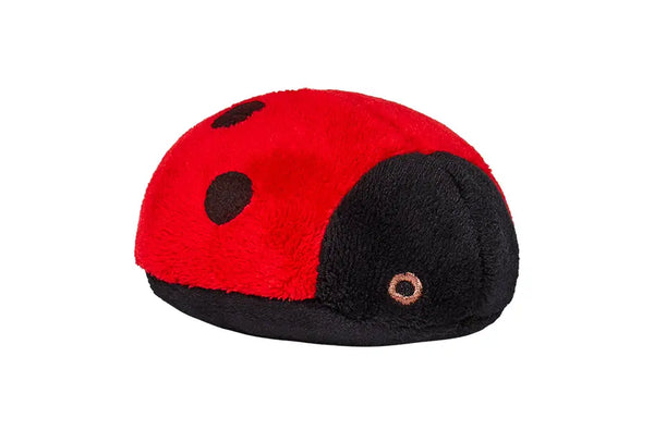 Lady Bug