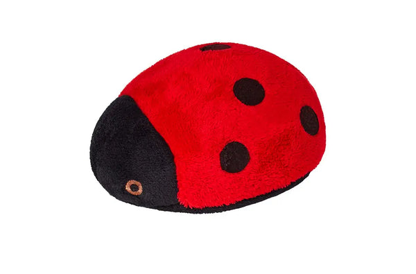 Lady Bug