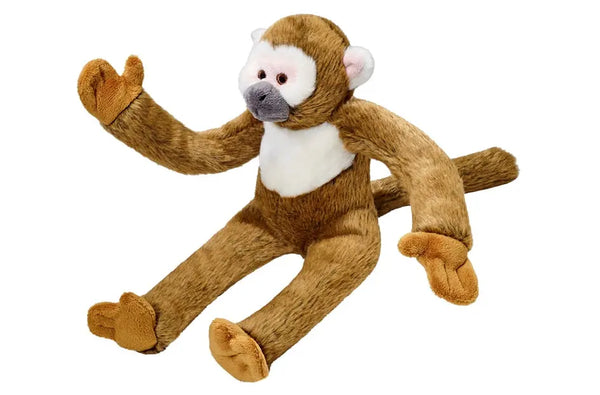 Albert Monkey