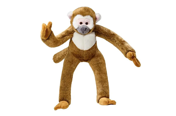 Albert Monkey