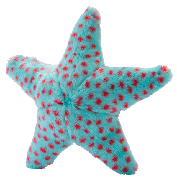 Ally Starfish