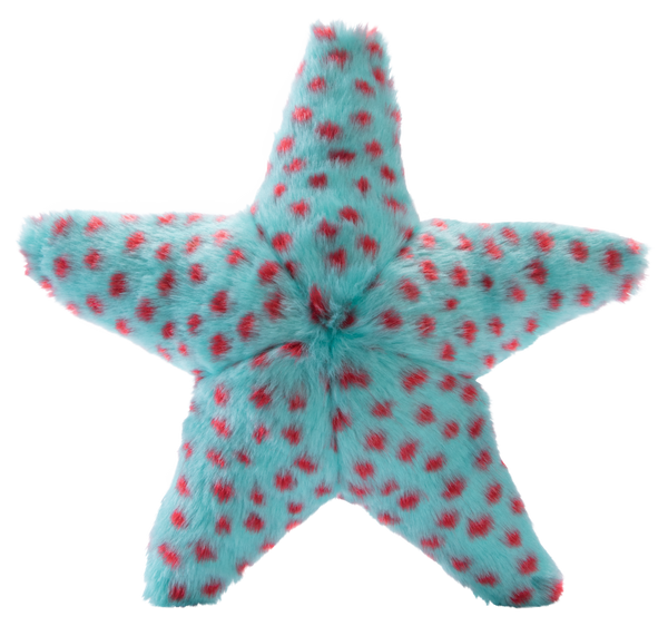 Ally Starfish