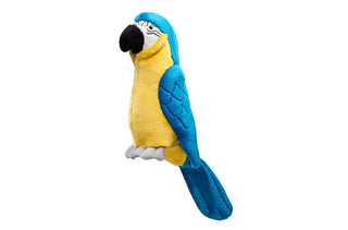 Jimmy Parrot LG Fluff and Tuff