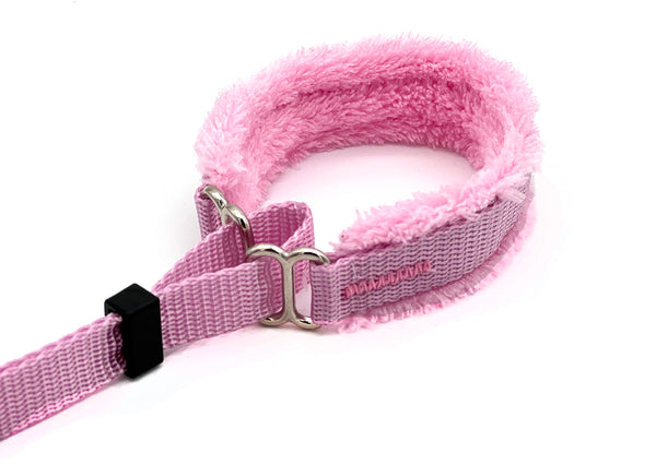 Puppy Walking Leads