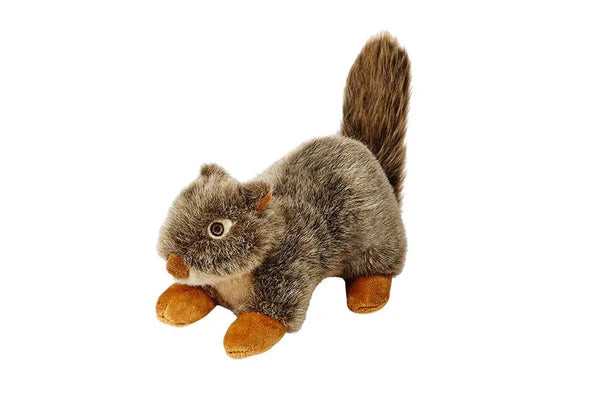 Nuts Squirrel