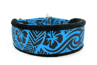 Pacifica - Buckle or Slip Dog Collar – wyldkindoutfitter