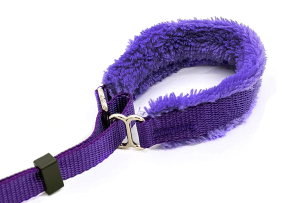 Puppy Walking Leads