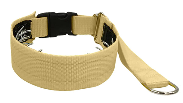 Solid Everyday Private Trainer Fuzzywumpets - Main Image