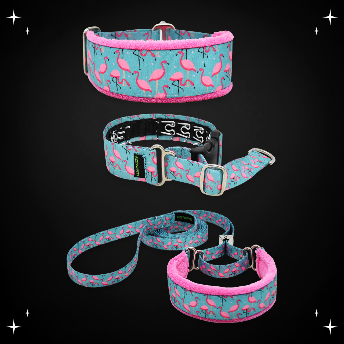 A Leg to Stand On limited slip collar, private trainer and walking lead