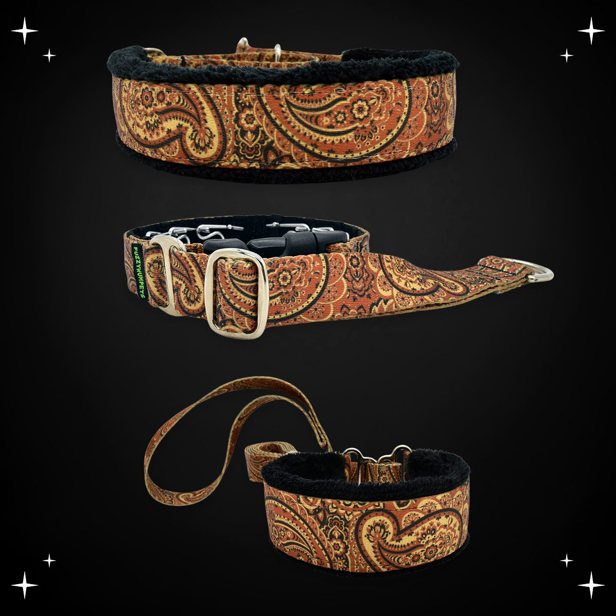 Autumn Paisley limited slip collar, private trainer and walking lead