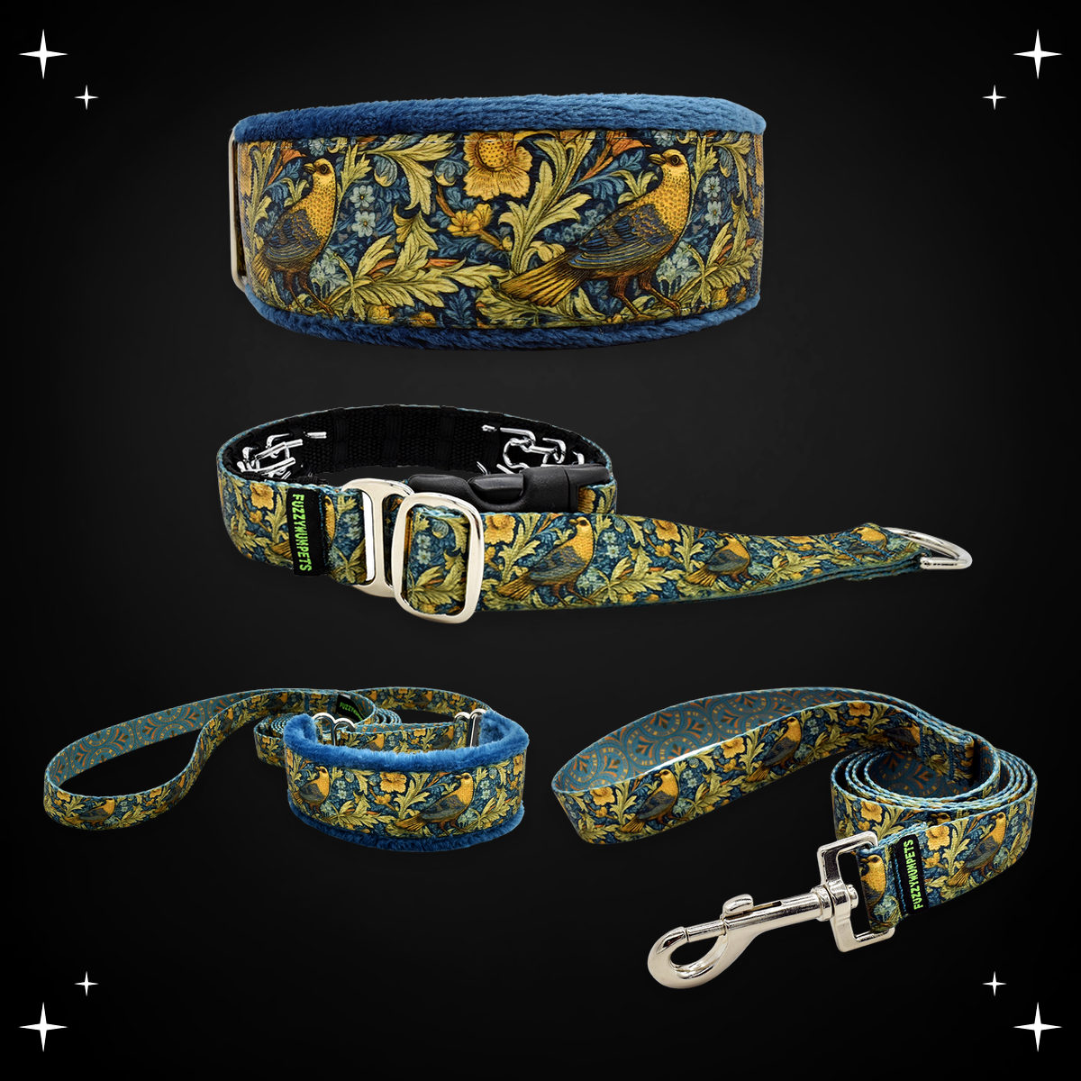 Flight of Fancy limited slip collar, private trainer, walking lead and snap leash