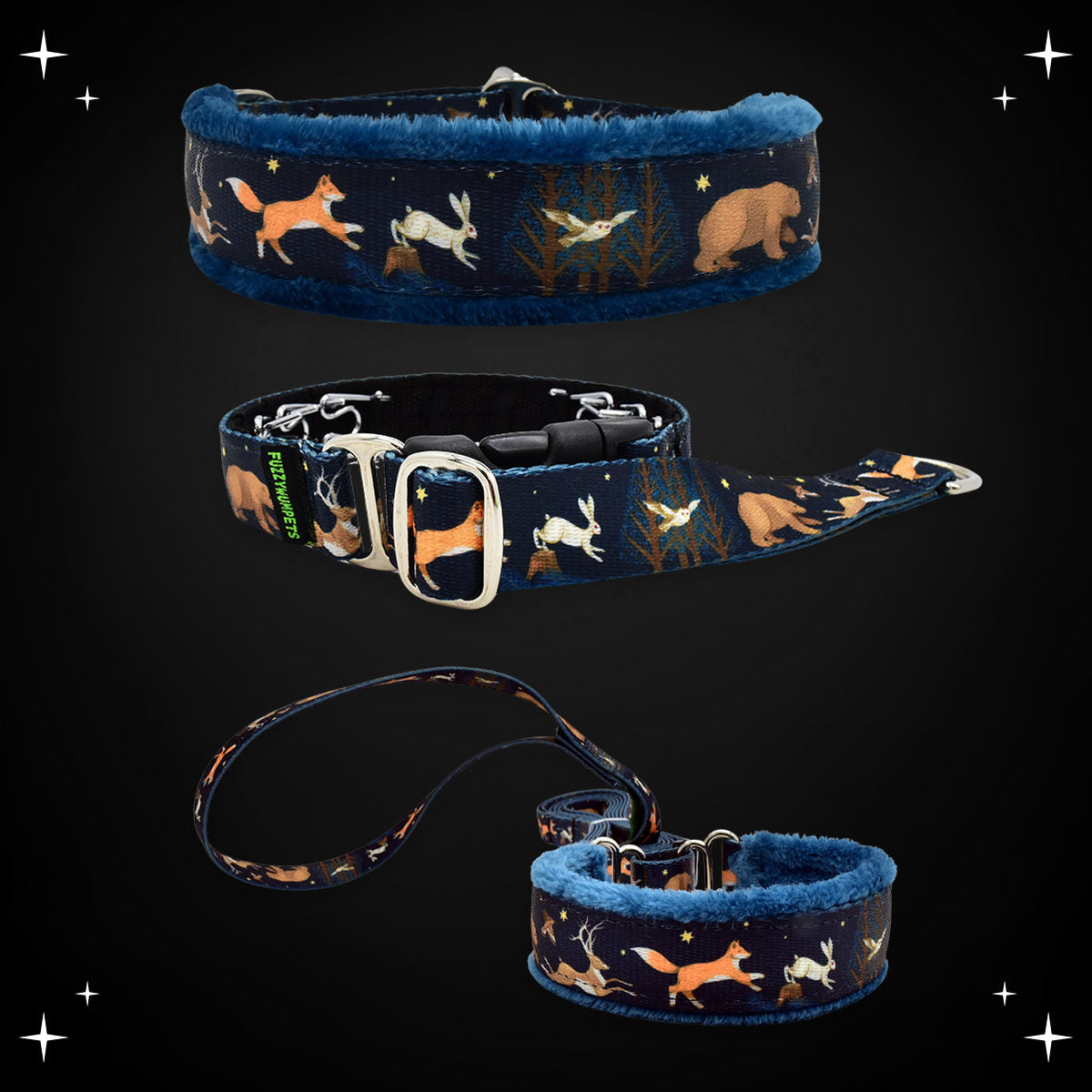 Forest Run limited slip collar, private trainer and walking lead