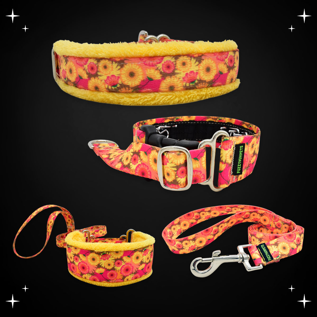 Hothouse Flowers limited slip collar, private trainer, walking lead and snap leash