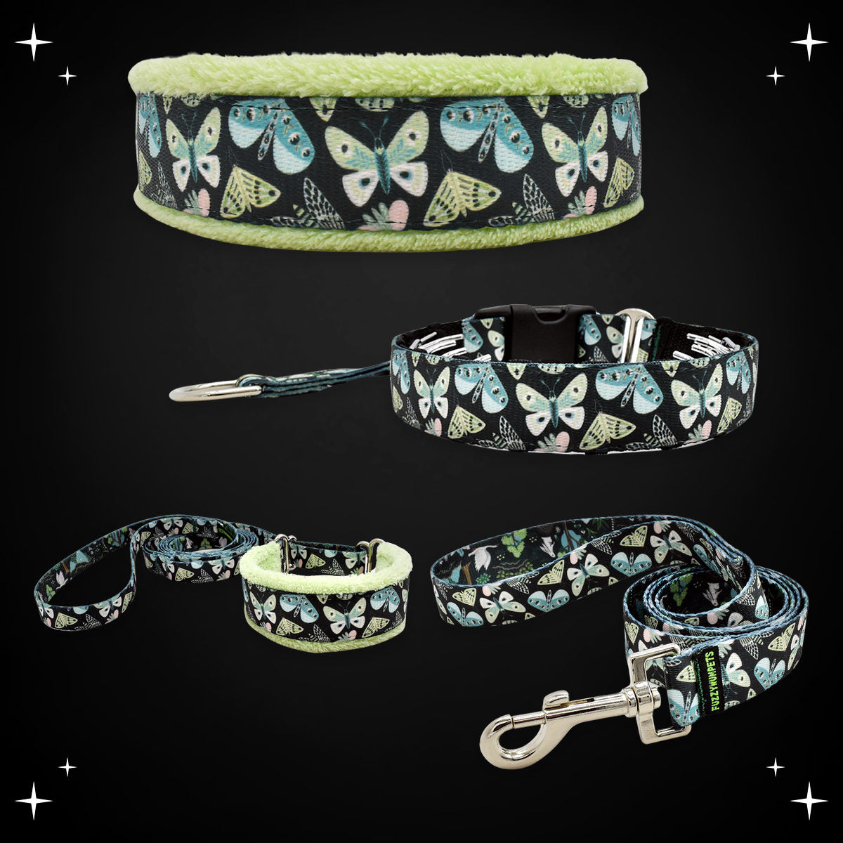 Luna limited slip collar, private trainer, walking lead and snap leash