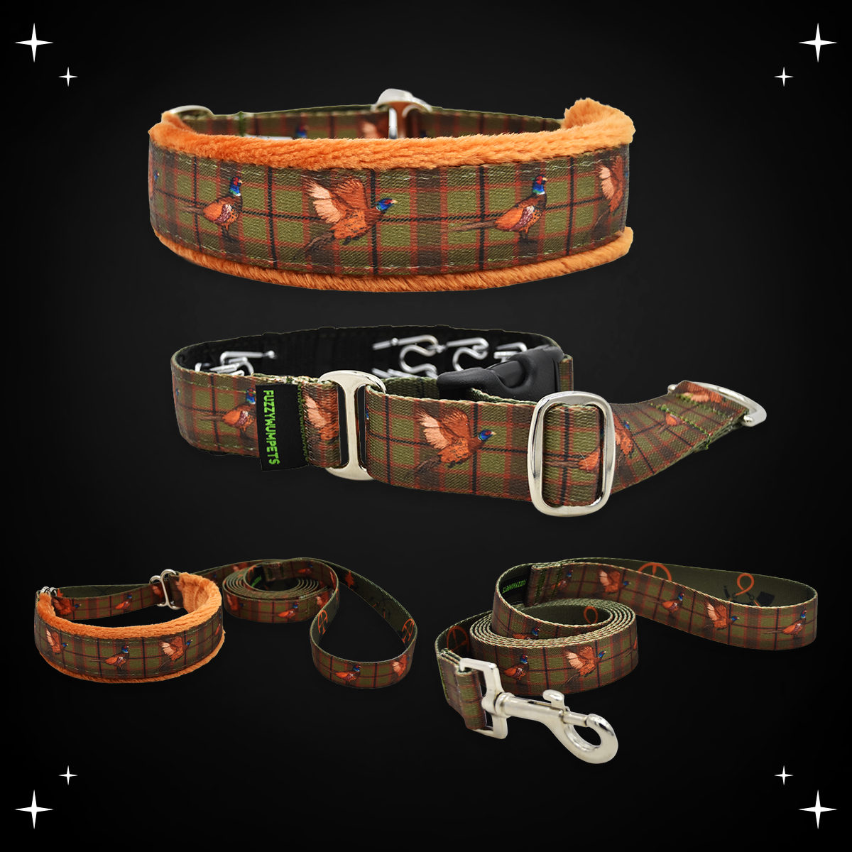 Upland Bird limited slip collar, private trainer, walking lead and snap leash
